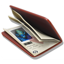 Forged Passport