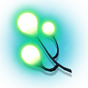 Kelp Sac